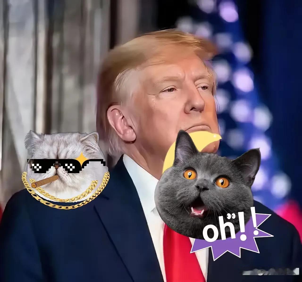 特朗普现在估计肠子都悔青了！他后悔的不是对中国加征关税，也不是美股市场暴跌，而是