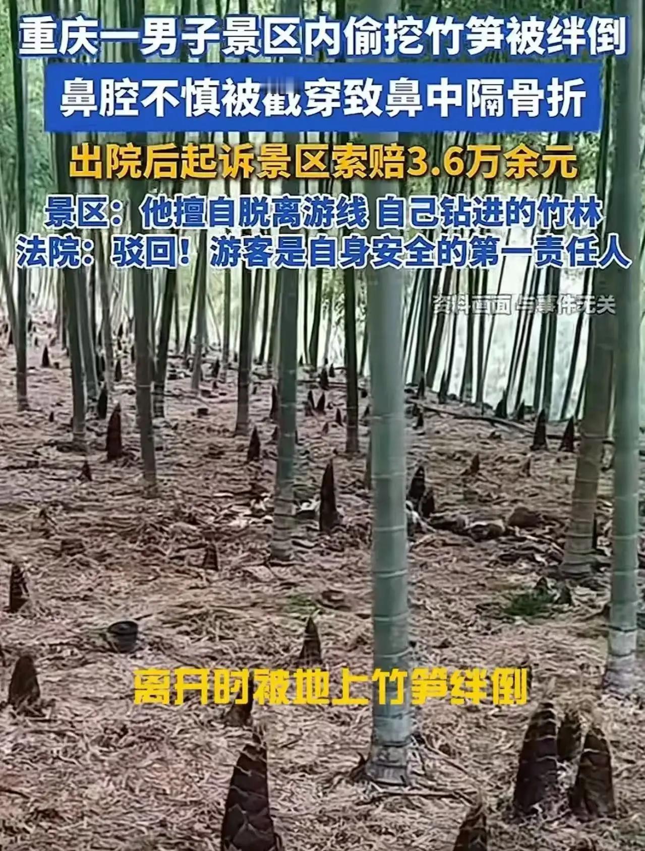 太奇葩了！重庆icon，男子在景区旅游时，偷跑进竹林挖笋，不慎绊倒，被竹笋戳穿鼻