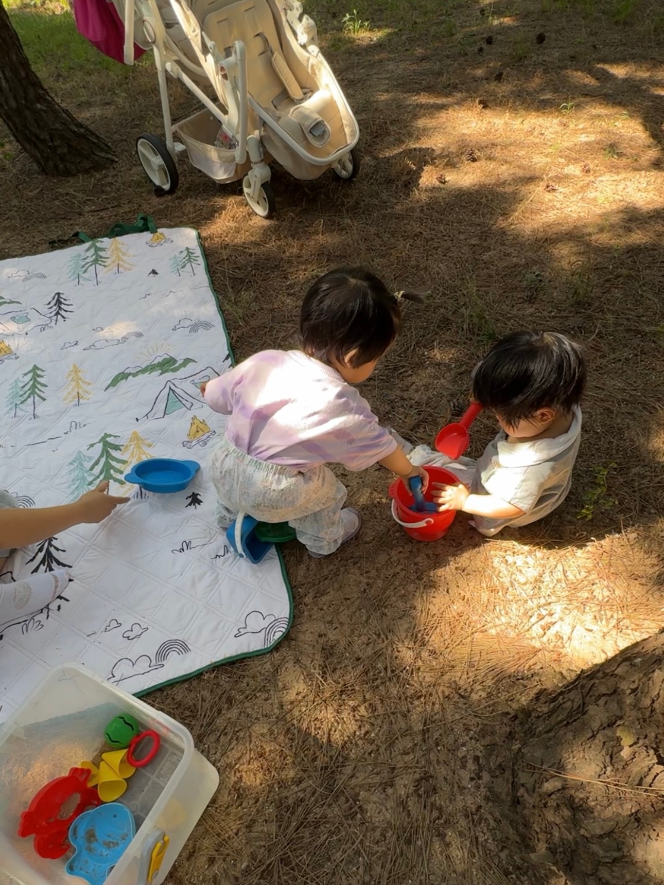 小孩子1-3岁真的没有太多的记忆吗？如果这个下午时分在野外大自然玩耍的画面，阳光