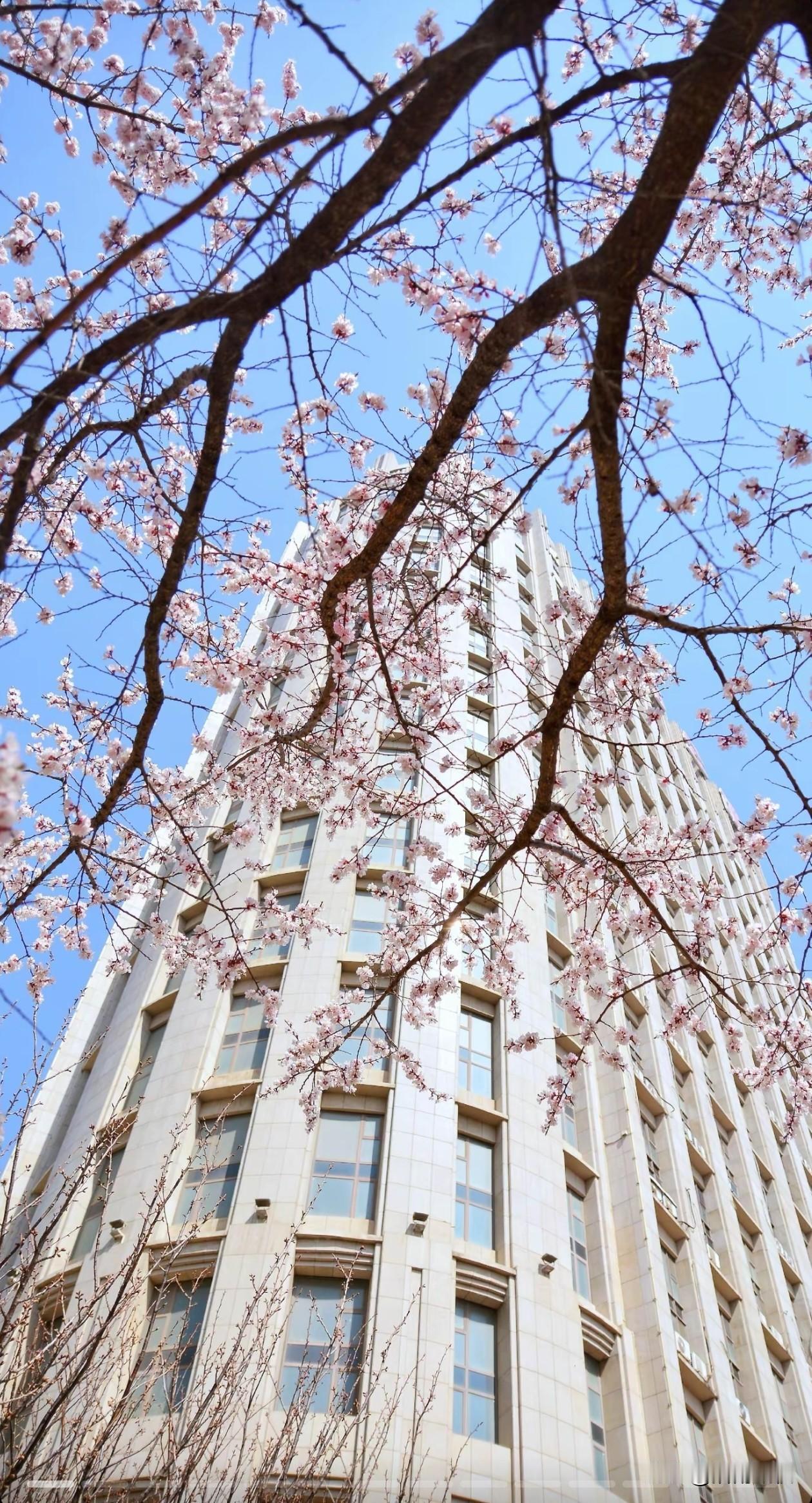 生活一半烟火，一半清欢。
