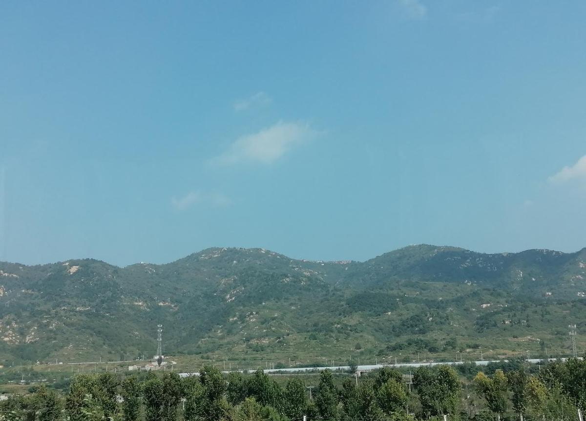 妈走那天，全村都来了。
哥哥三年没睡过一个整觉，熬成了黑瘦的树干。
没人喊他辛苦