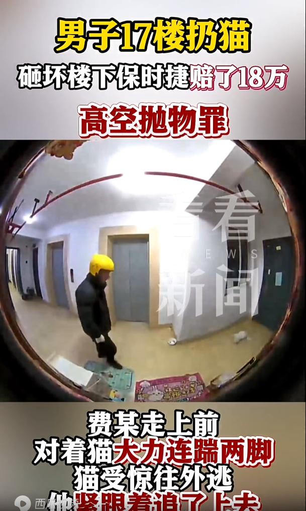 江苏苏州，一男子在醉酒之后，看到楼道里的流浪猫，心生歹意，抓住流浪猫就把它从17