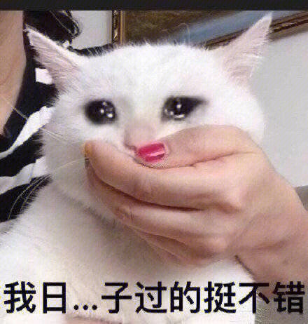 薛老师真的是从我进门一刻也等不了就贴过来伸手摸摸摸贴贴贴！我：外卖来了！我要吃饭