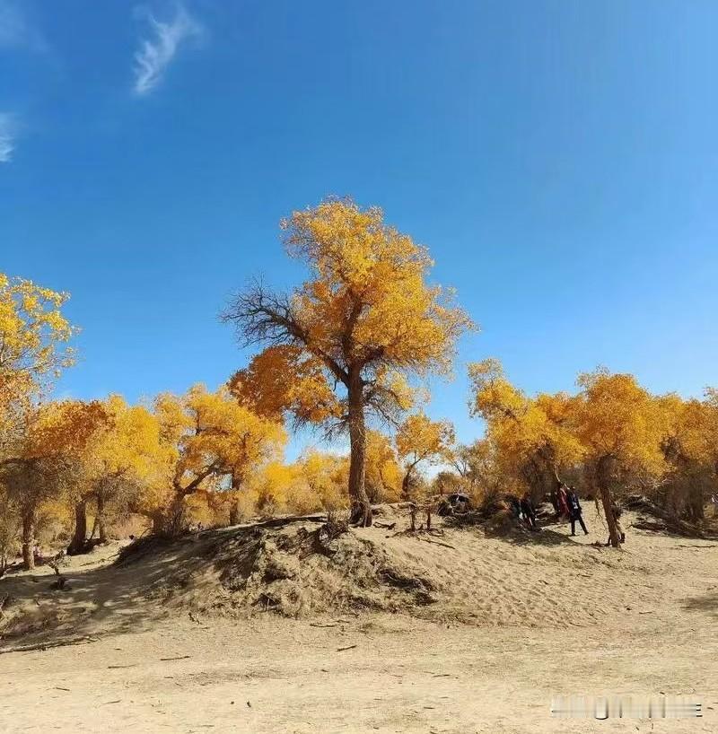 除了生死，也别丢了“人与人”的连接
 
最近网上流传很广的一句话：
除了生死，其