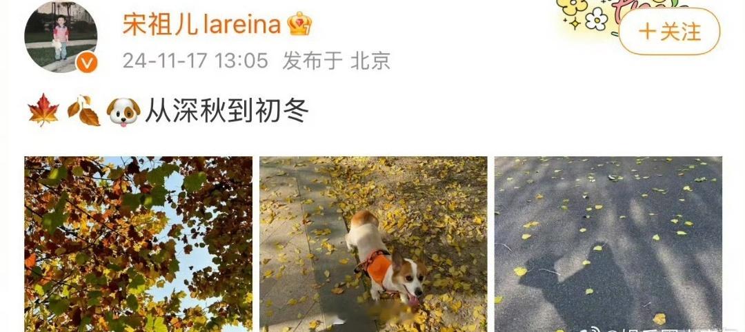 宋祖儿前脚在社交平台上冒了个泡，后脚《无忧渡》要抬上来了的小道消息就传开了，看来
