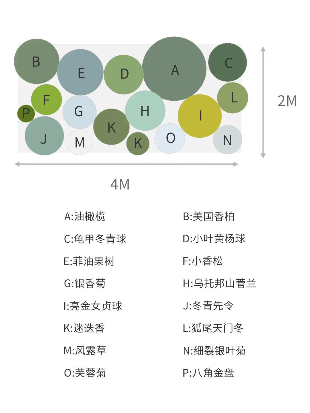 抄作业！🌿秋冬季高级感银绿色系法式花园