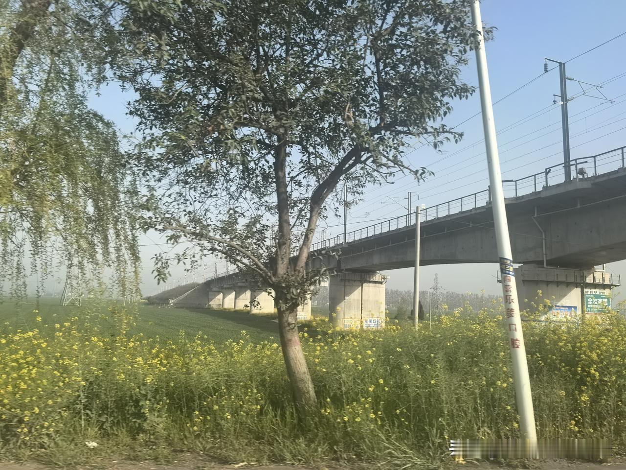 浩吉铁路，看来是没有开通客运的机会了。这是回老家的路上随拍，当年修建的时候都以为