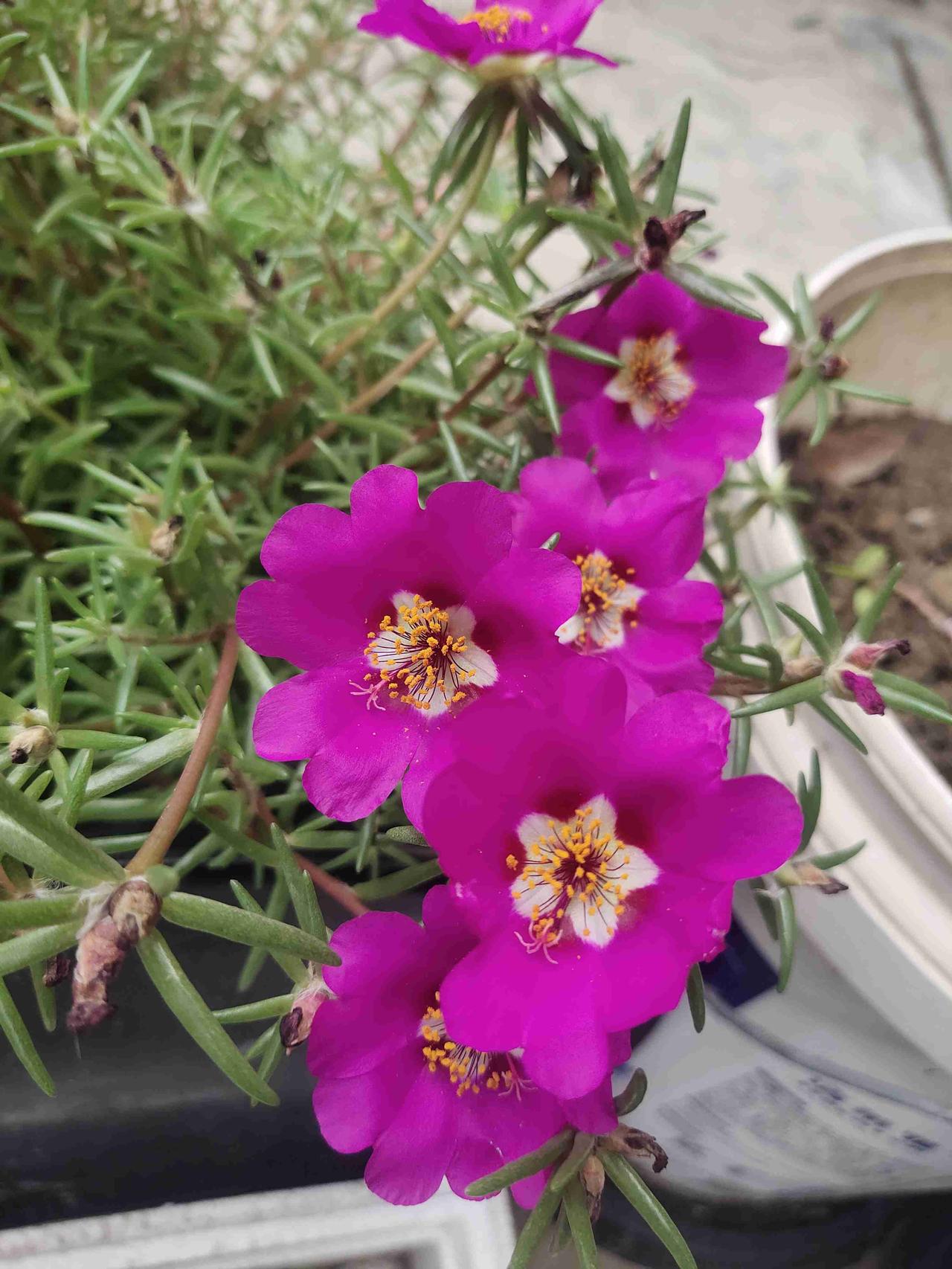 我的今日状态：😁轻松愉快
我这里的天气：☀️晴天