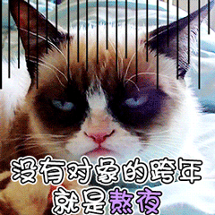 诗卓卓 【不用担心找不到对象 】别催别催，对象这玩意儿又不是外卖，下单就能到。我