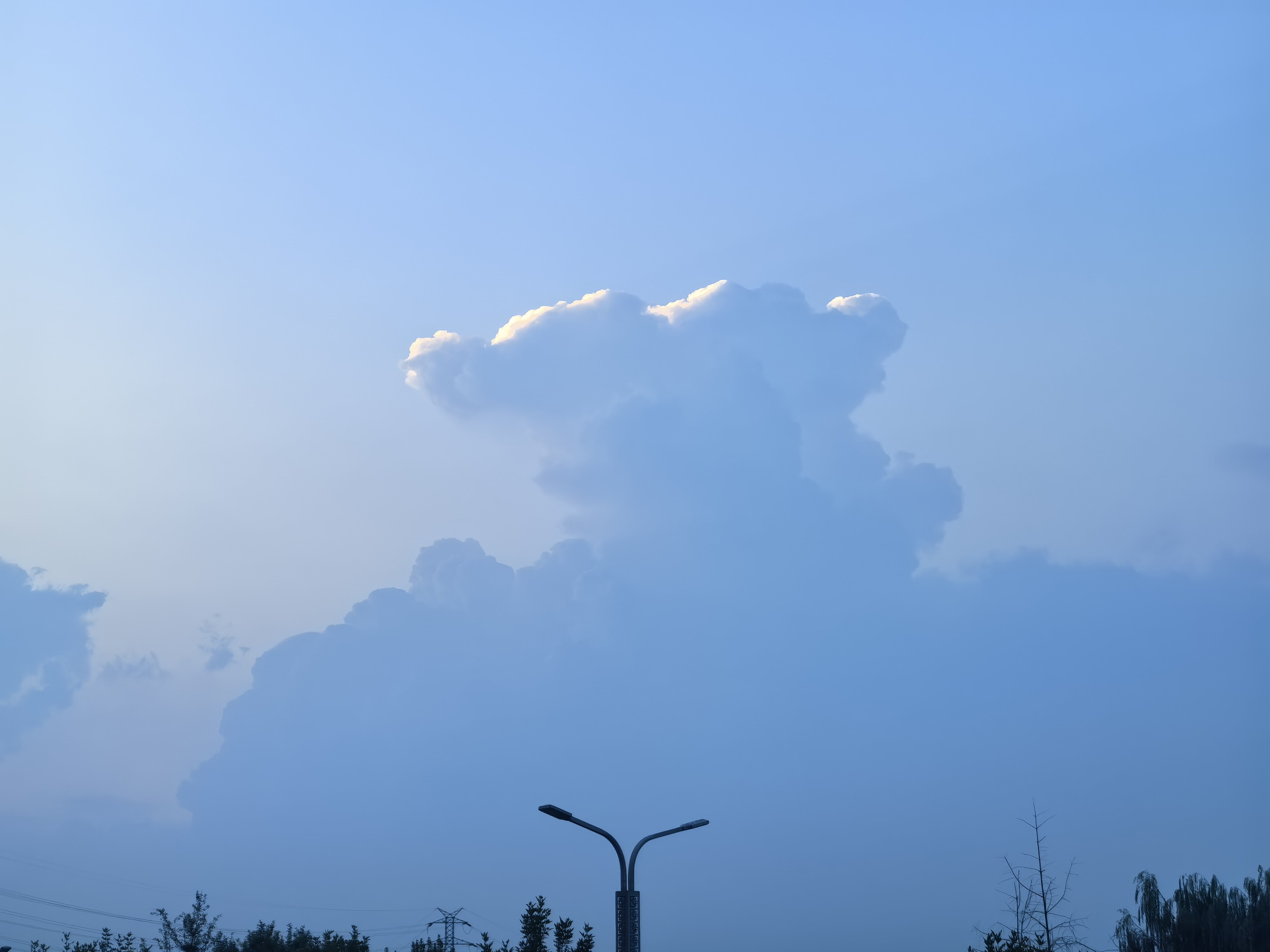 是你吗 特朗普 