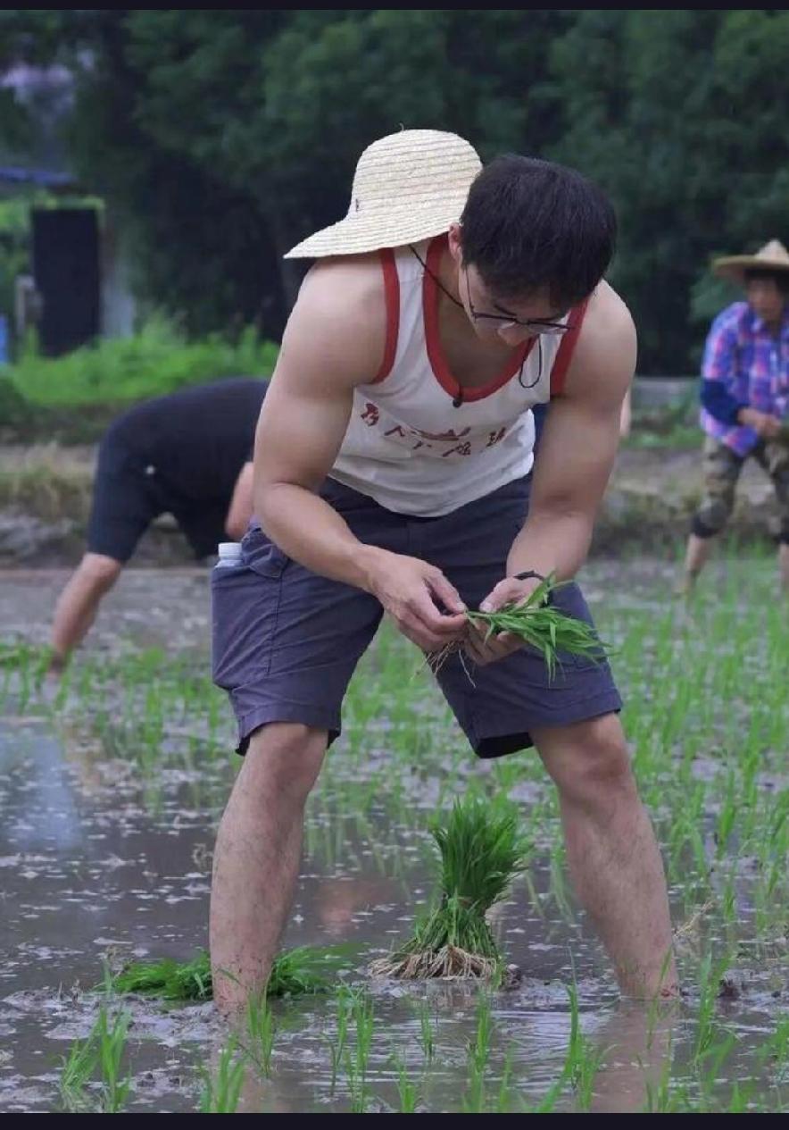 95后村干部“林小白”因秀肌肉卖柿子意外走红，如何让传统农业焕发新生？
95后村