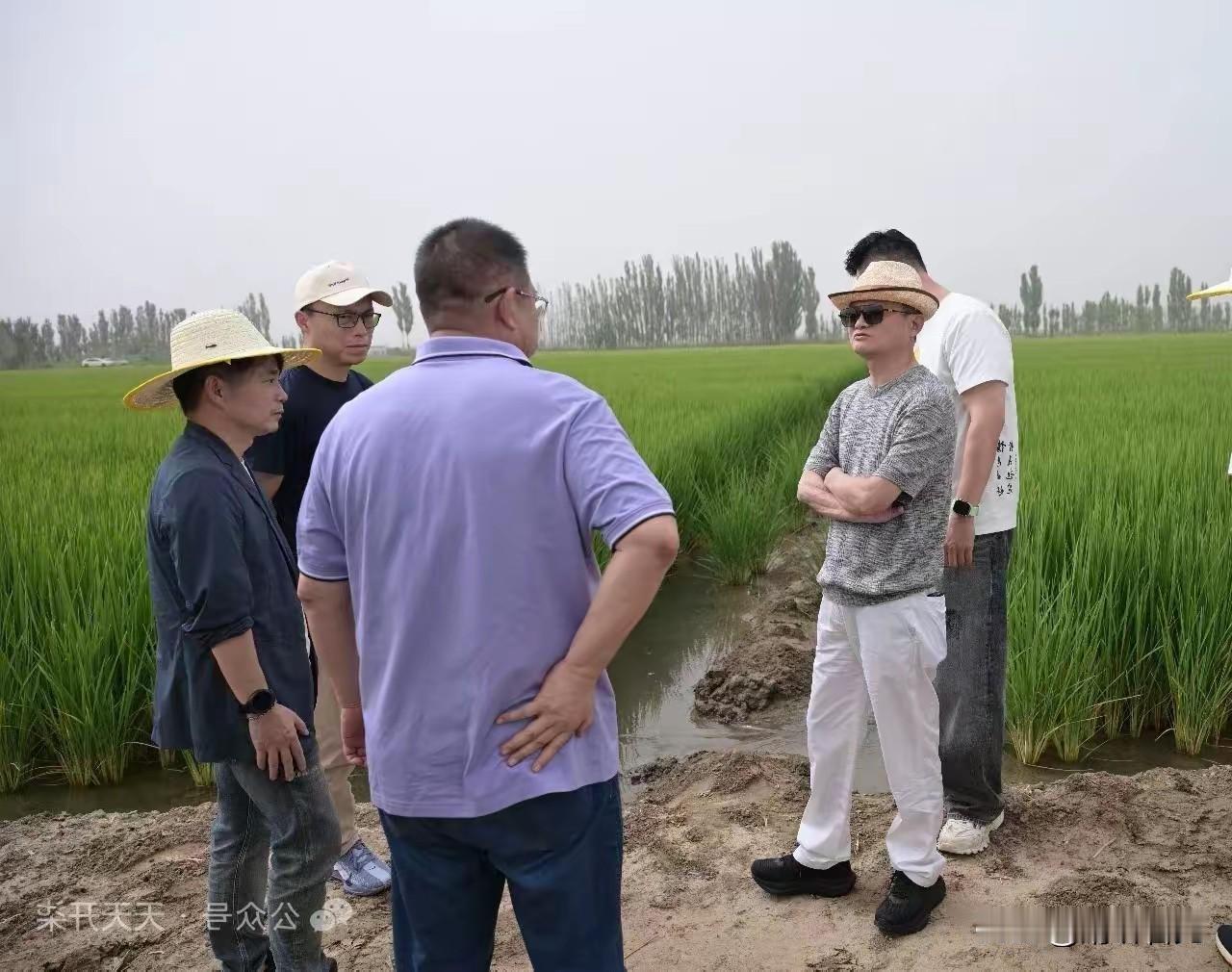 发现了吗？
这次马云现身新疆，先不论他这一趟是否为公务出行。
马云如今笑容可掬的