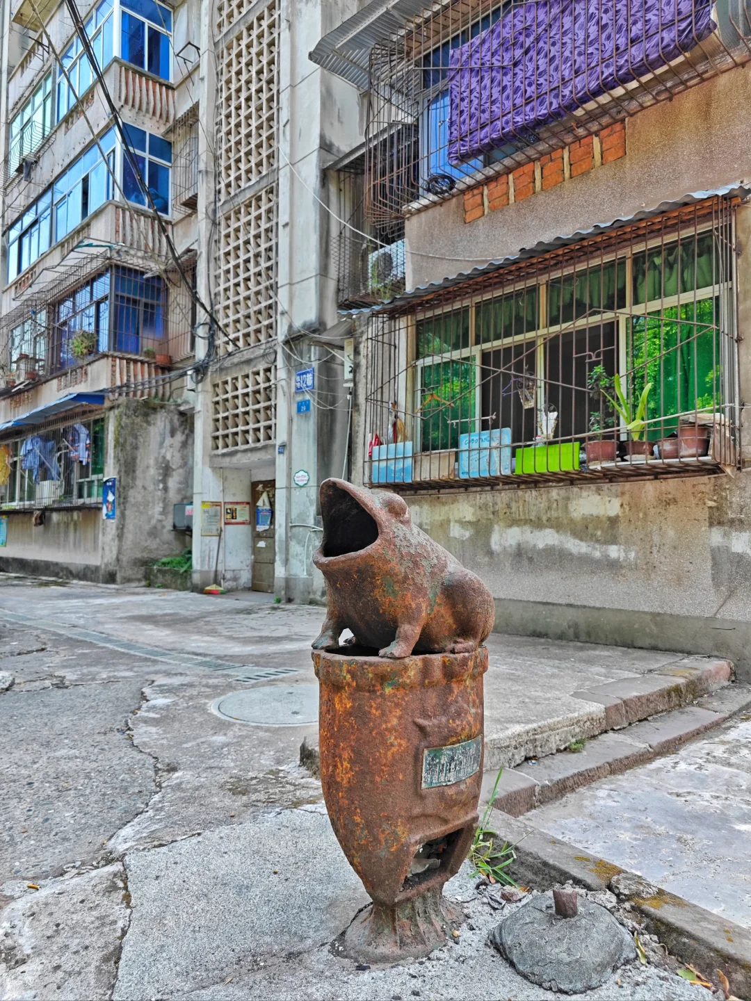 这种果皮箱你见过吗（citywalk301）