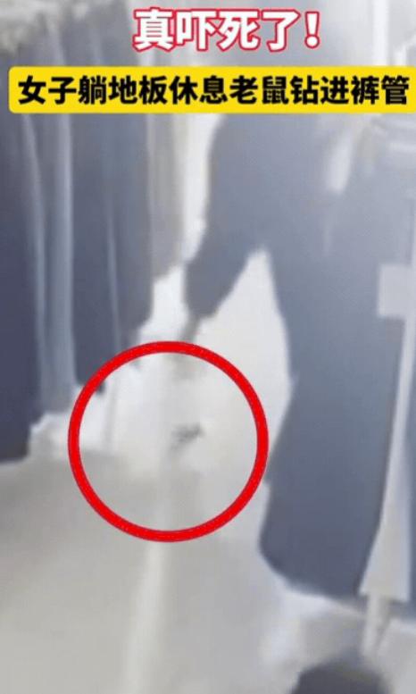“笑不活了！”福建，女子躺地板休息，突然感觉裤裆一凉，吓得她睡意全无，立马站起来