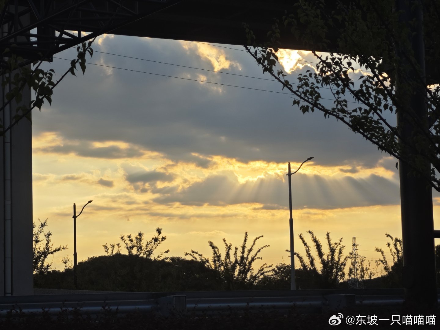 夕阳无限好，本喵下班了家门口的立交桥下的风景也很不错，嗯，漂亮哒一朵云～ 