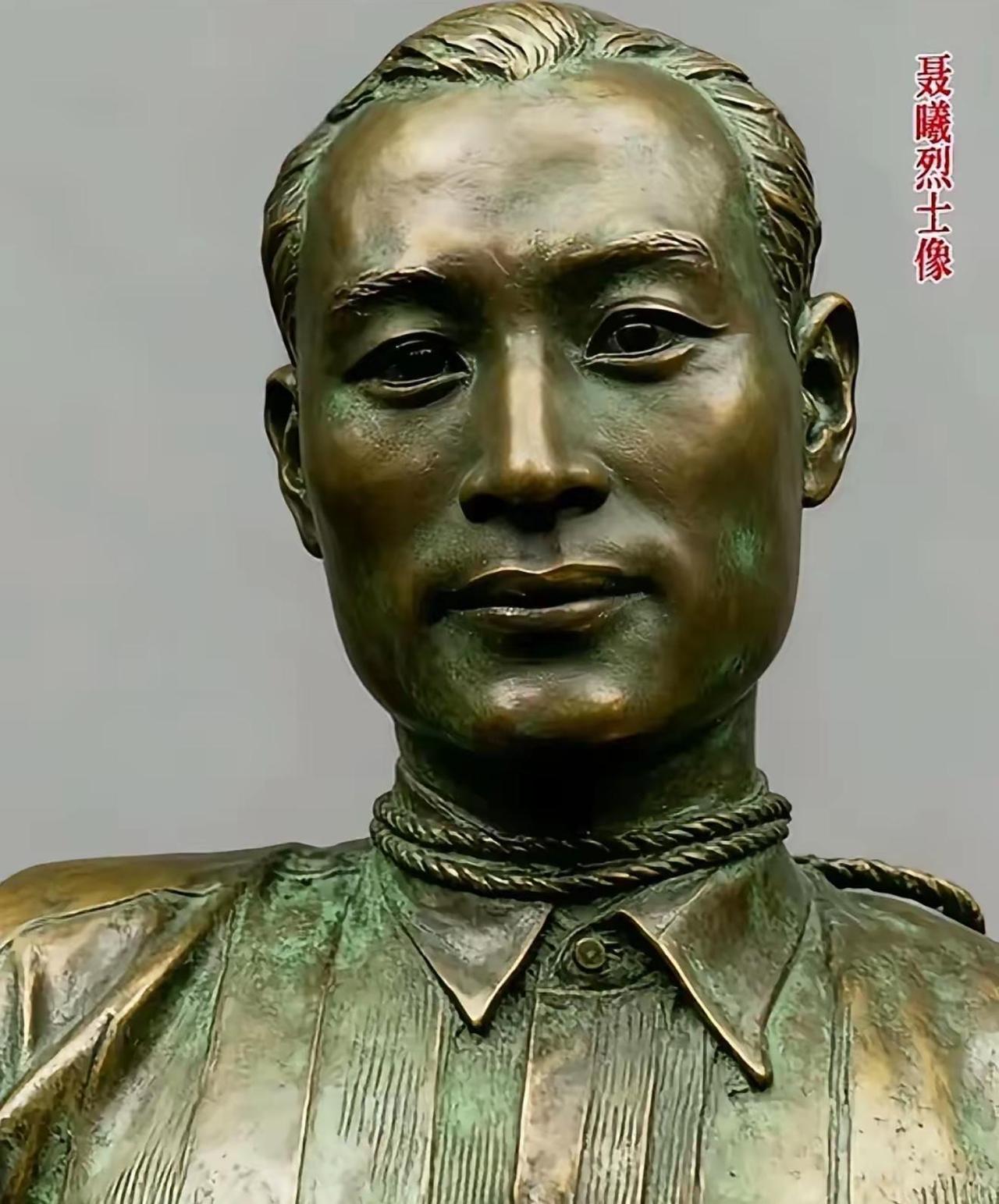 聂曦的妻子的确叫陈淑贞，但官方一直用的高秀娟这个名字。聂曦牺牲前，其最后的遗书就
