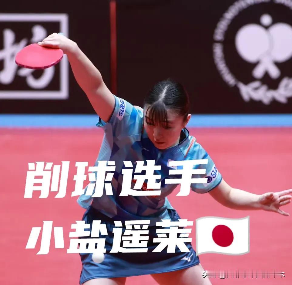 削球选手都有谁？
国乒有孙扬、朱思冰、杨屹韵
外协有：汪洋、鲁文·菲鲁斯、琳达、