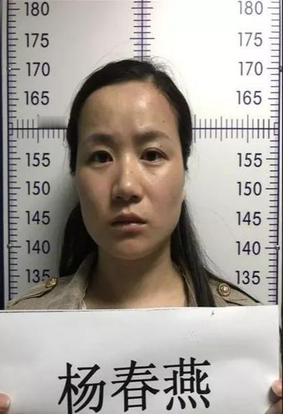 2019年，正在读硕士的杨春燕，在教室上课时被警方带走。老师一脸惊讶地说：“是不