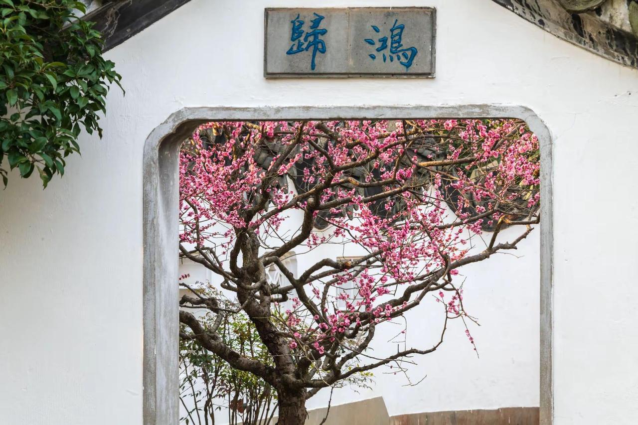 南京明孝陵红楼艺文苑。南京明孝陵红楼艺文苑风光摄影 我的摄影日记 原创摄影 风景