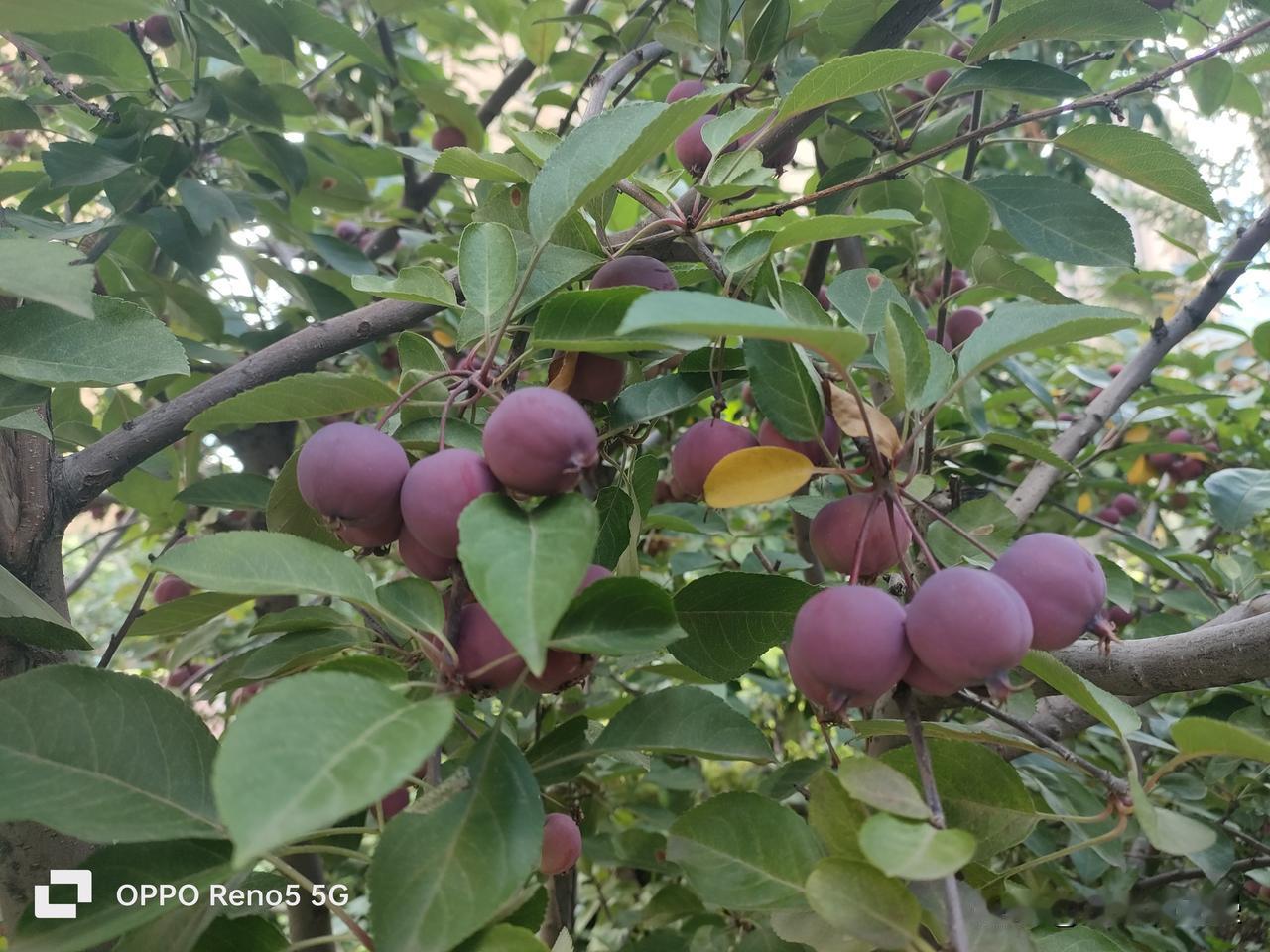 《八千里路云和月》超值得一看！2026 年 4 月 7 日在央视八套首播就炸场，