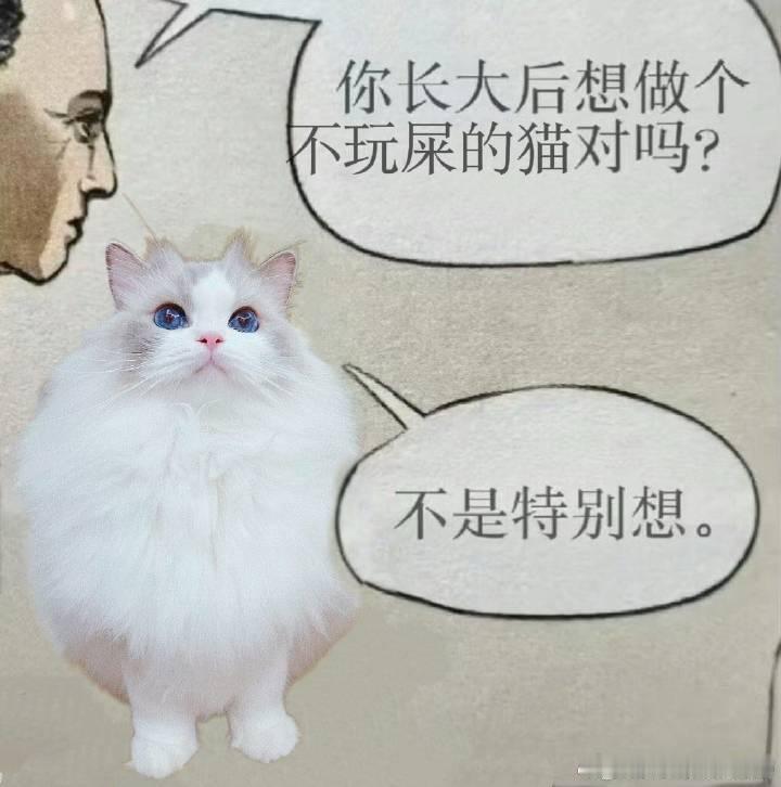……………