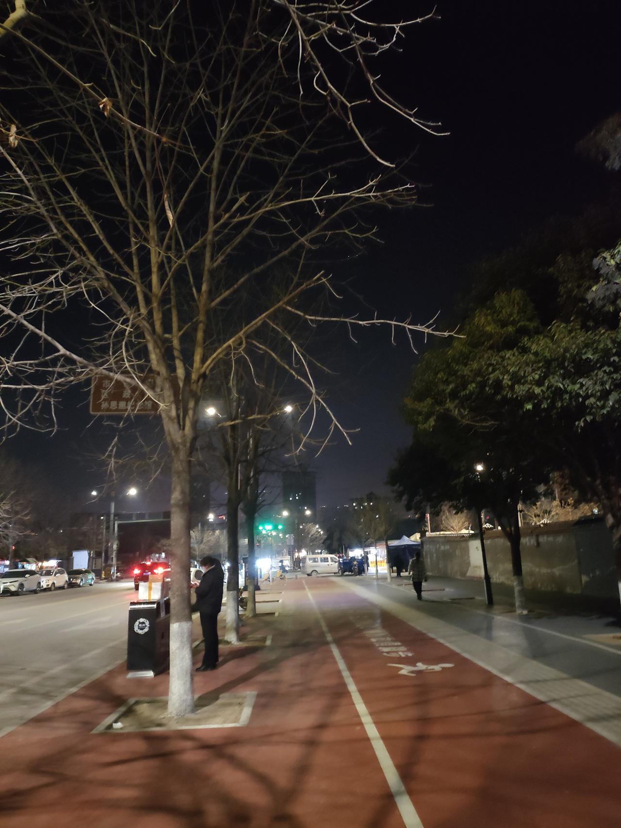 冬日生活随拍冬夜的街头，枝桠疏朗，路灯把树影拉得又细又长。红色的步道上没什么行人