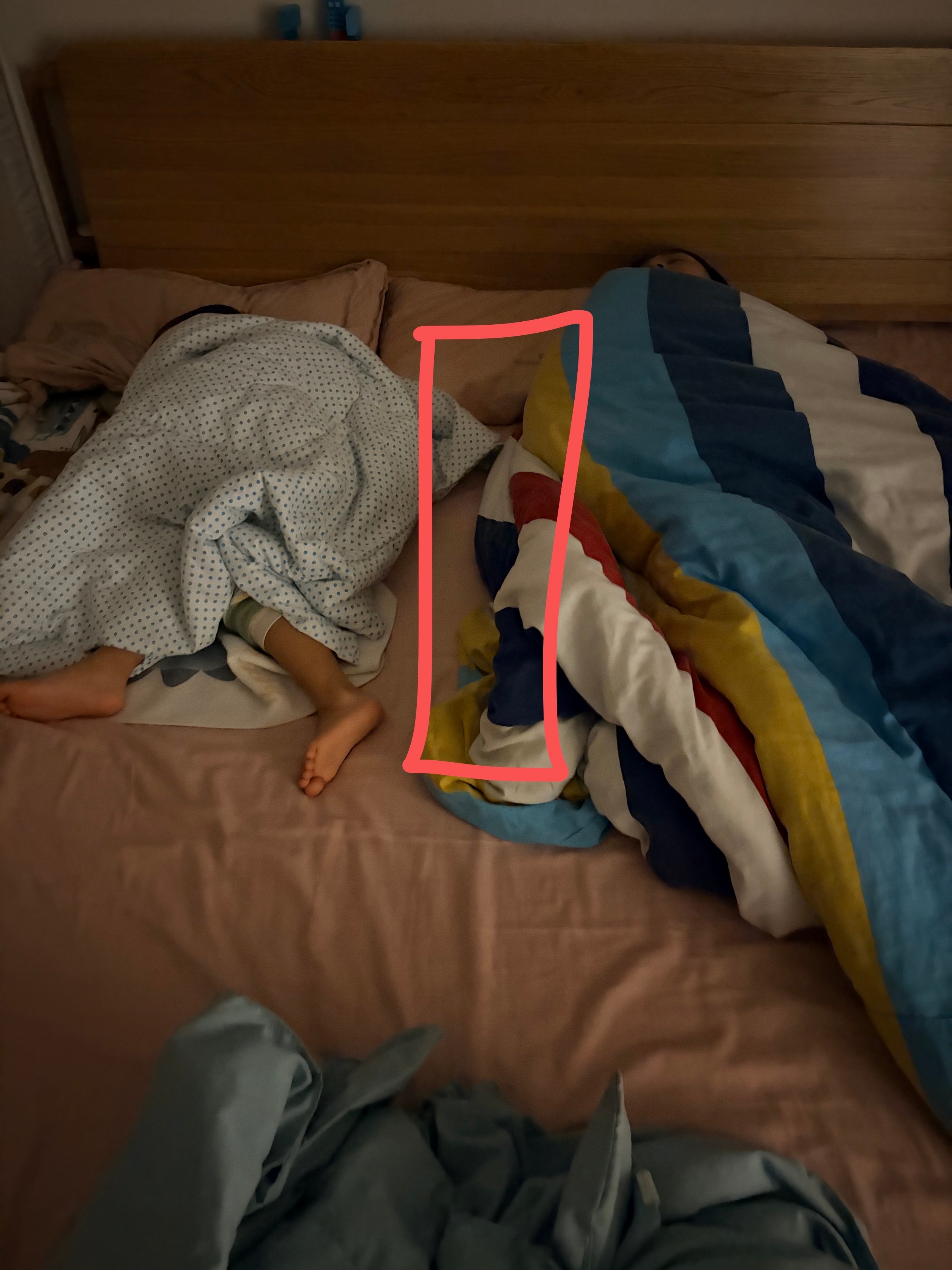 为什么我睡觉能平躺并且不会乱动呢。主要我也没空间可以动。