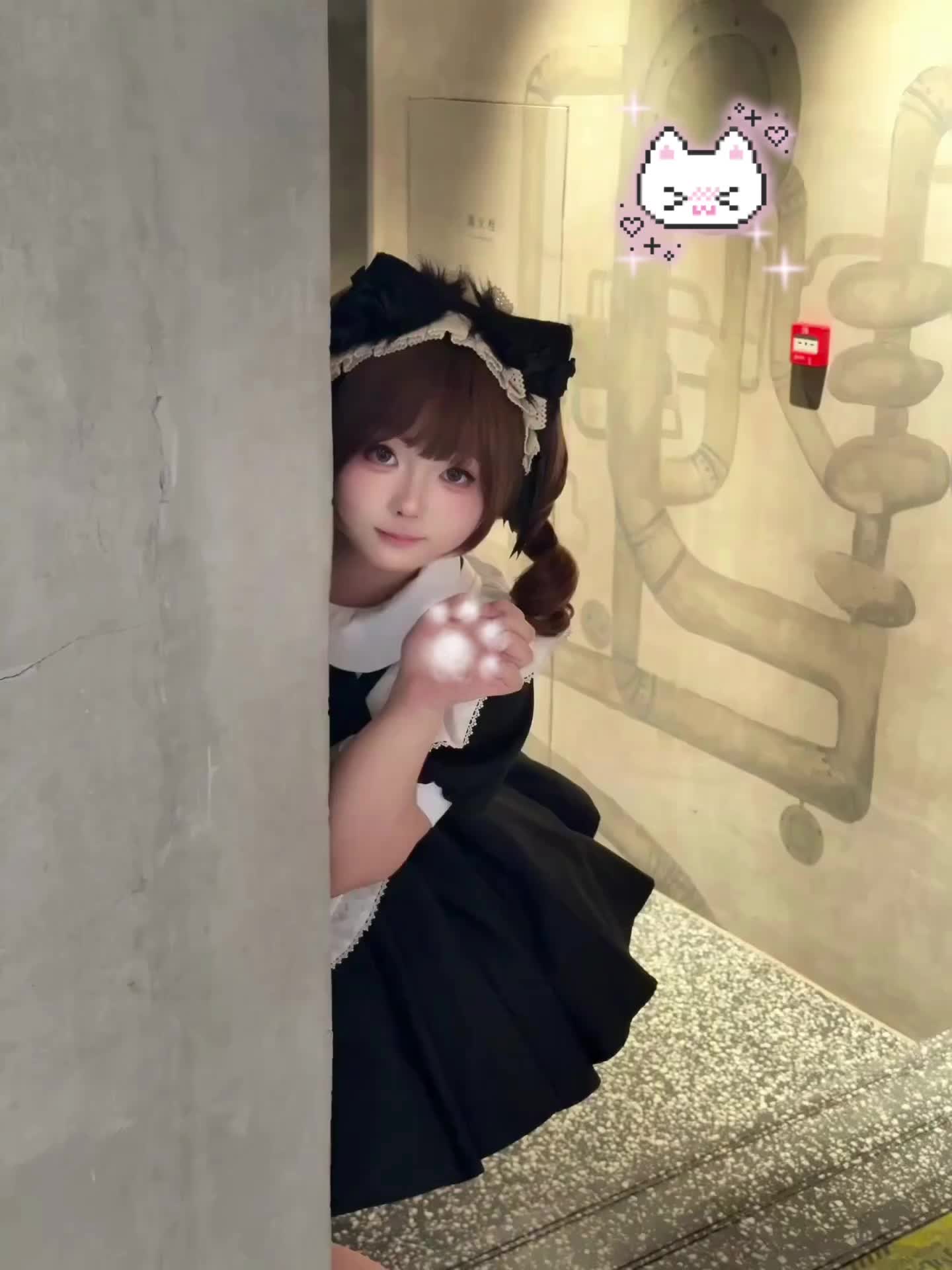 小猫探头៸៸᳐>⩊<៸៸᳐