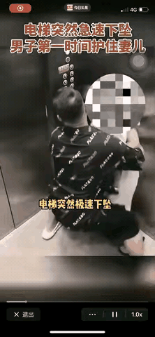 云南雨林偶遇“花脸小野猪”！不怕人超呆萌，网友紧急提醒：千万别碰，是剧毒危险源