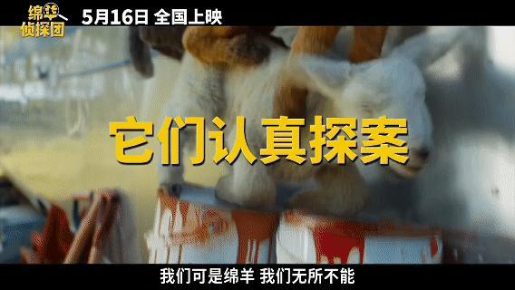 绵羊侦探团中文配音阵容  双厨狂喜来袭！马思纯与白客再度搭档，声音组队联手欢乐探