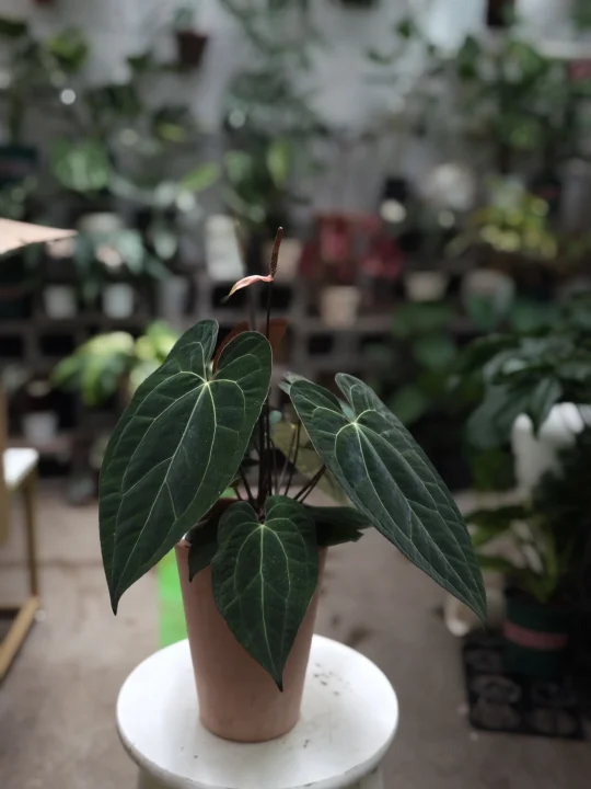 人在知足的时候最富有