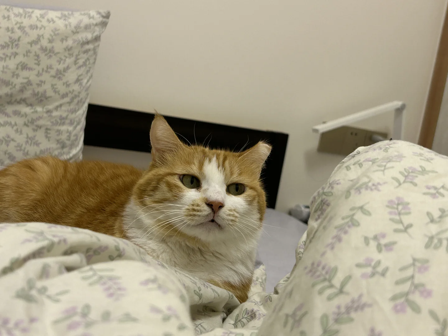 忙着看虫子和看我