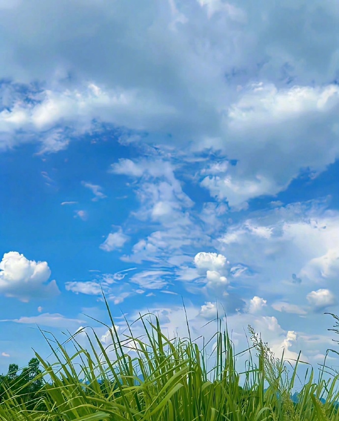在炎炎夏日，云朵是天空的诗篇，每一朵都承载着无尽的浪漫。想象一下，当阳光穿透它们