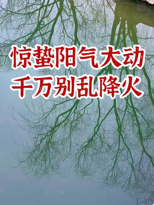 惊蛰不上火=赢在春天！中医教你避开火气攻击