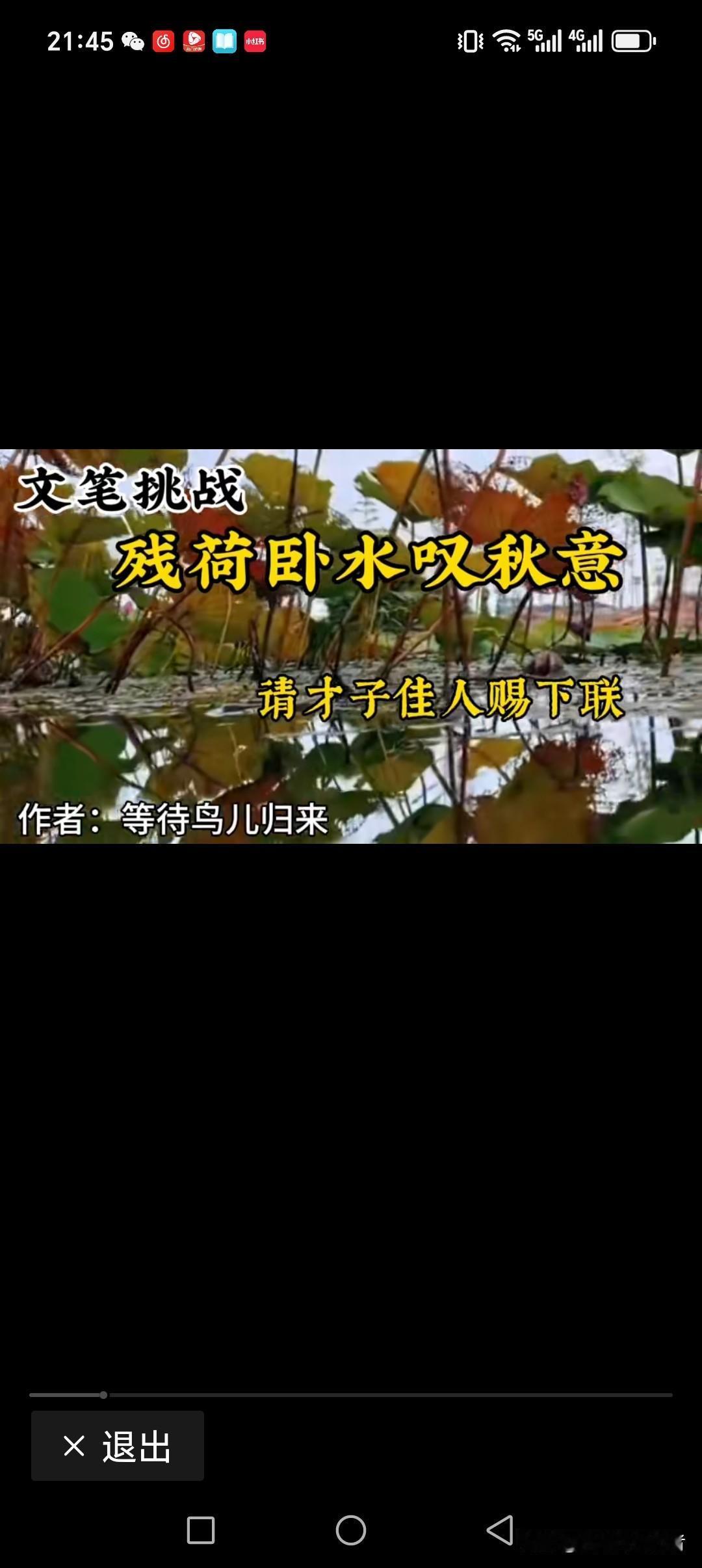 残荷卧水叹秋意
孤梅仰首怨冬凉