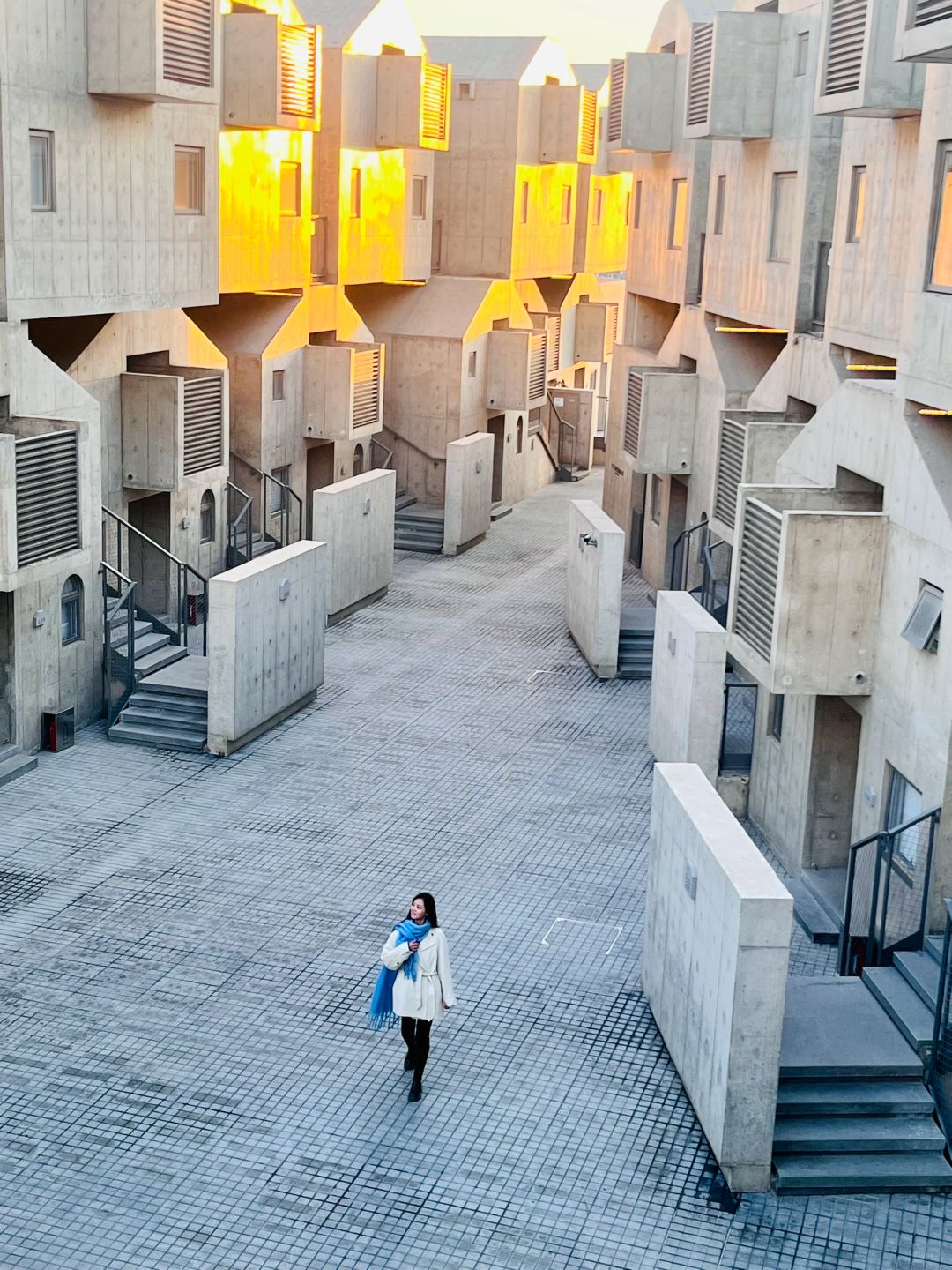 冻海海鸥‼️冬日绝美阿那亚‼️免预约直接进