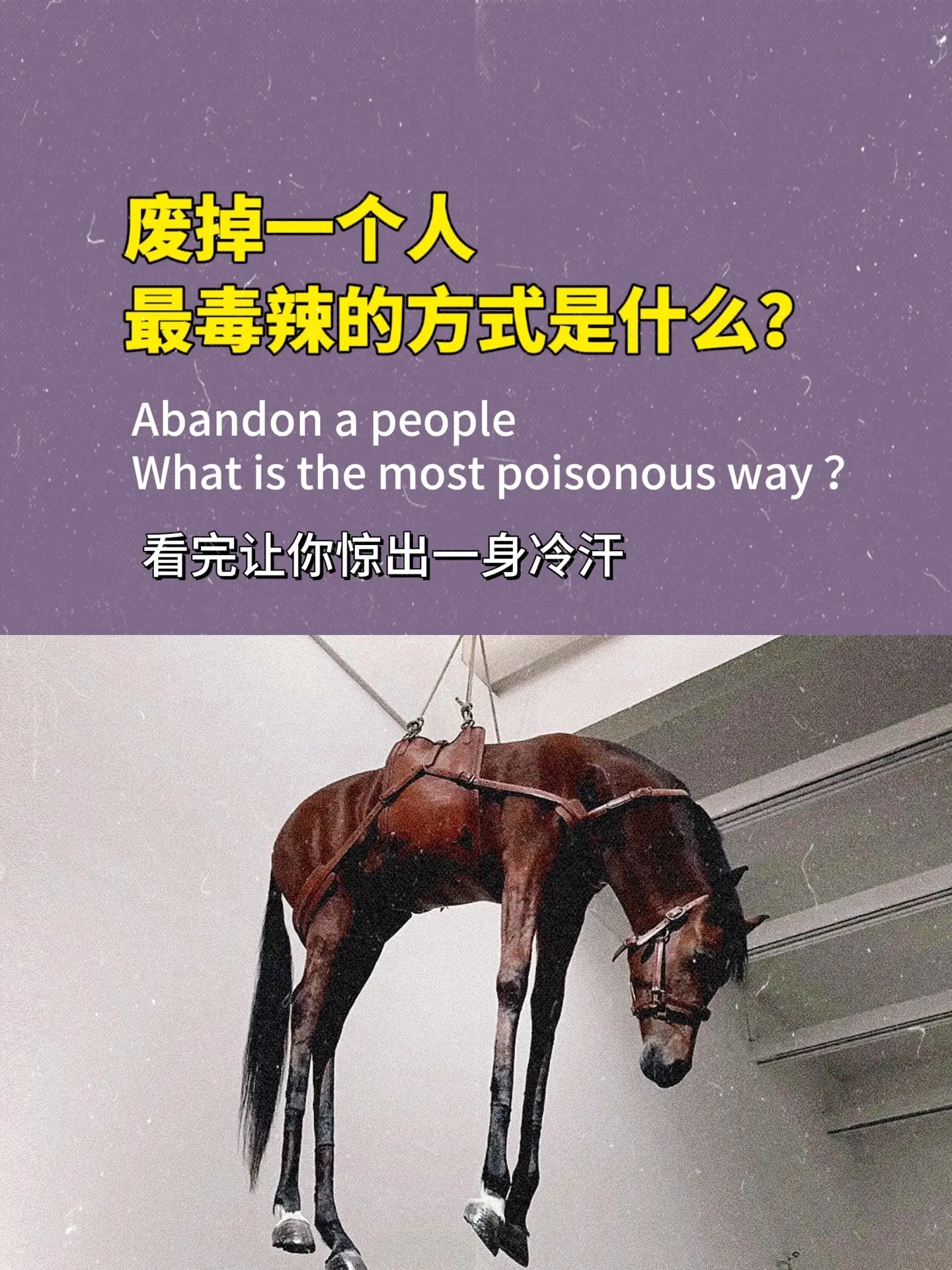 玻璃心且心软之人，一定要读读博弈论！生活中到处充满了博弈，这本书不愧是...