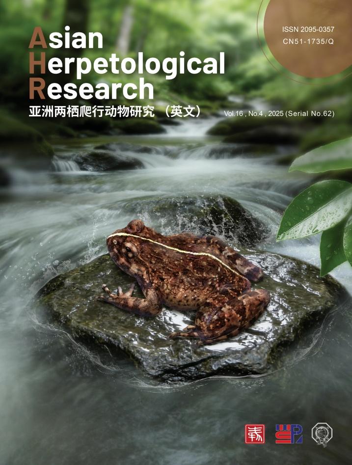 不出意外应该是2025最后一个新种，今年第8新， 来自云开山脉的特有种 Quas