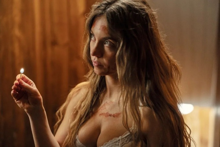 豆瓣7.3！悉尼妹情色惊悚片大卖 狂揽2.45亿美元票房