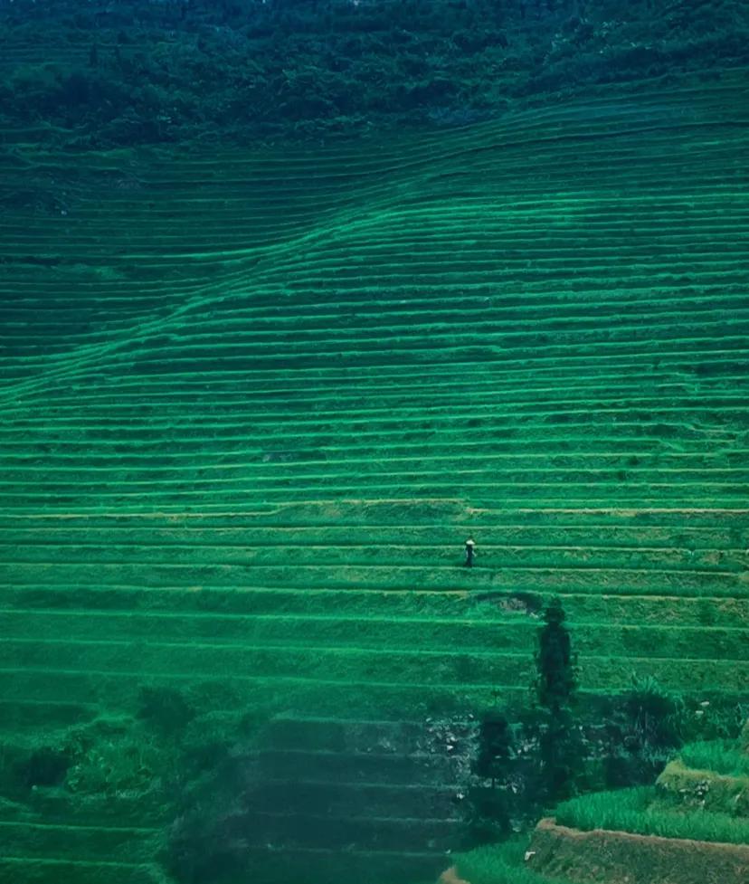 (个人意见)龙脊梯田很好看但是不值得来
因为住在桂林市中心所以在网上约了一个包接