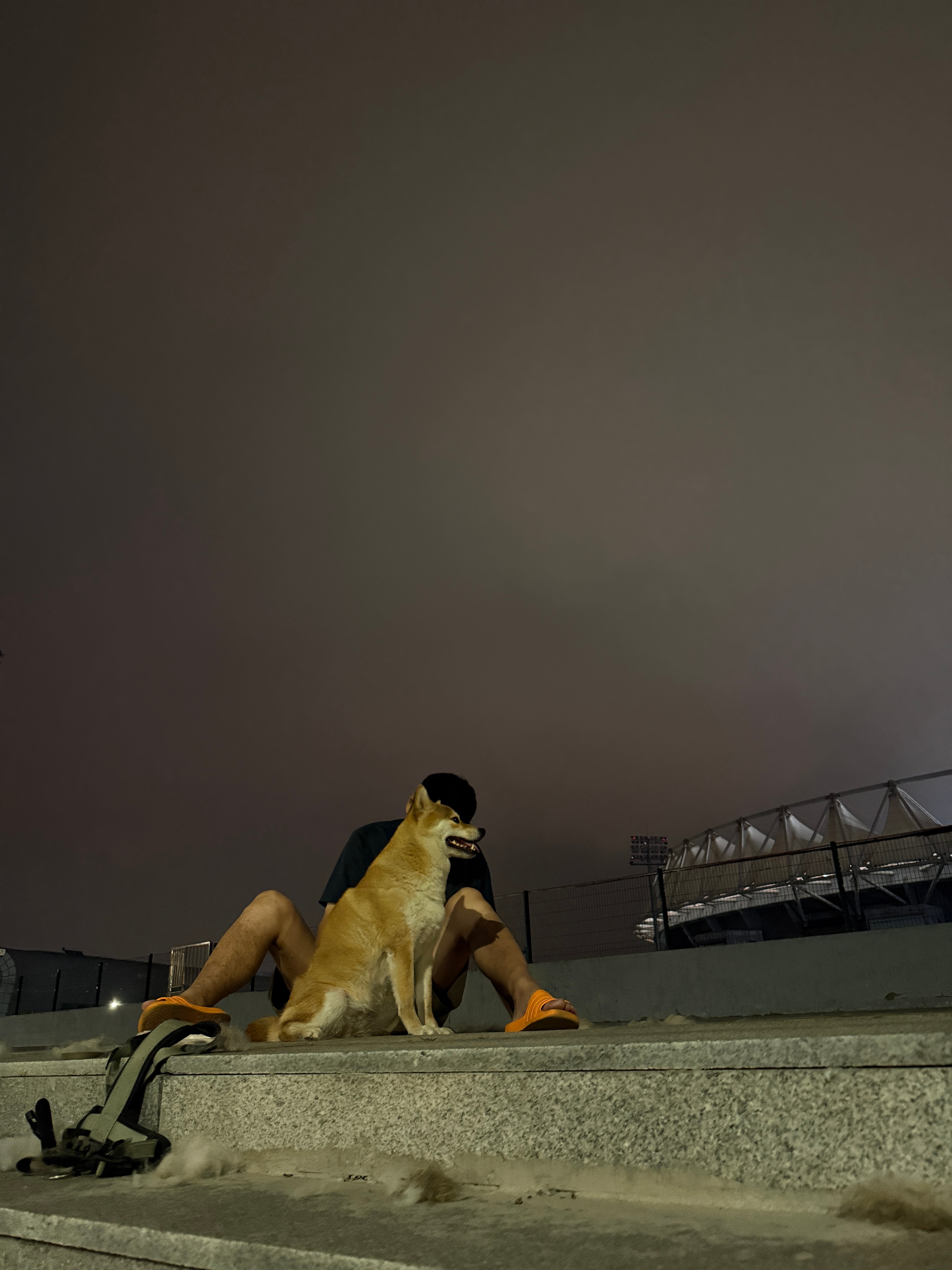我发现老酱有清理毛发综合症，大半夜的非要出来给贱贱梳毛儿，我自己在家一般地板三天