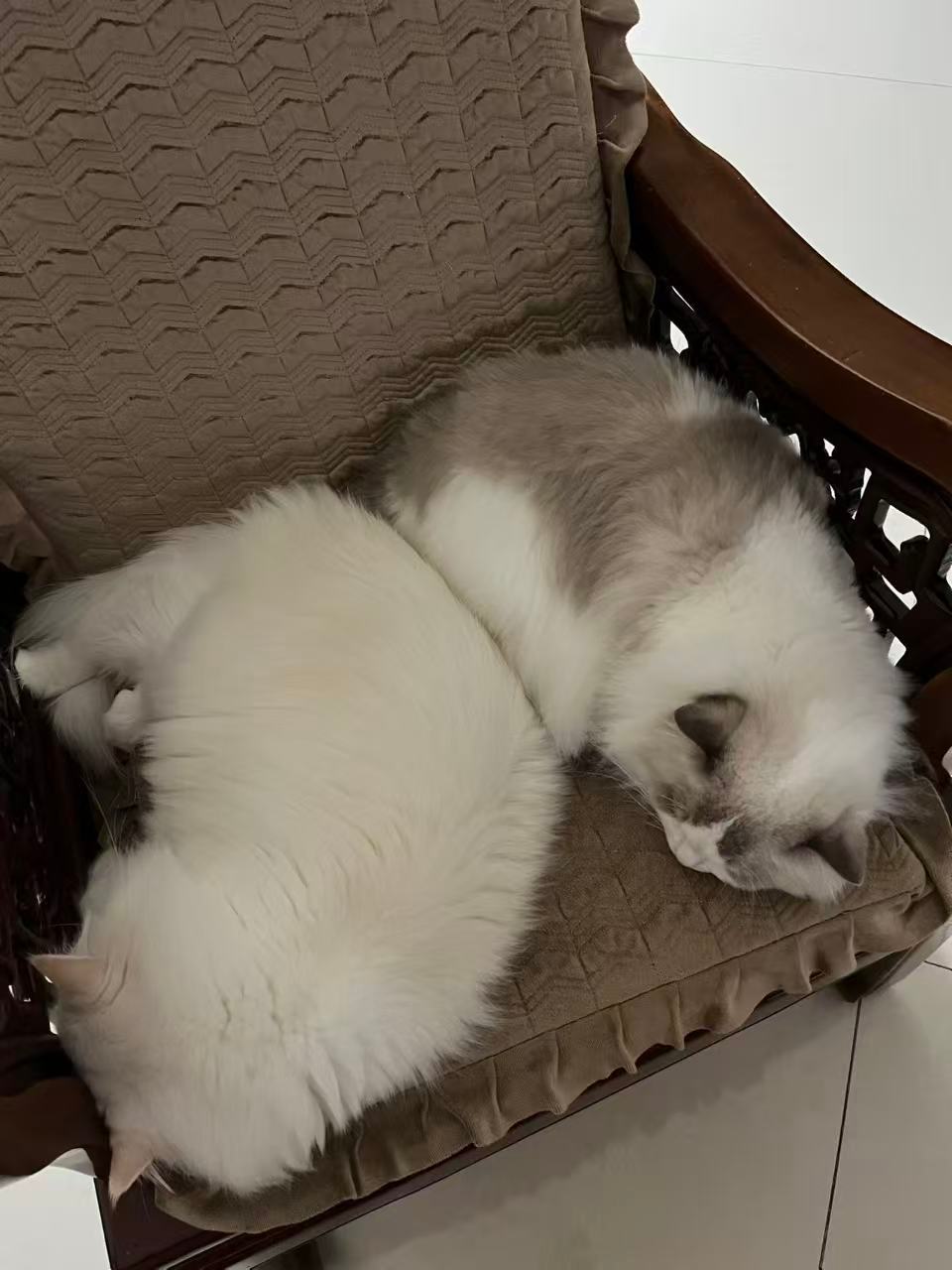 兄弟就要贴在一起才能（家长） ​​​
