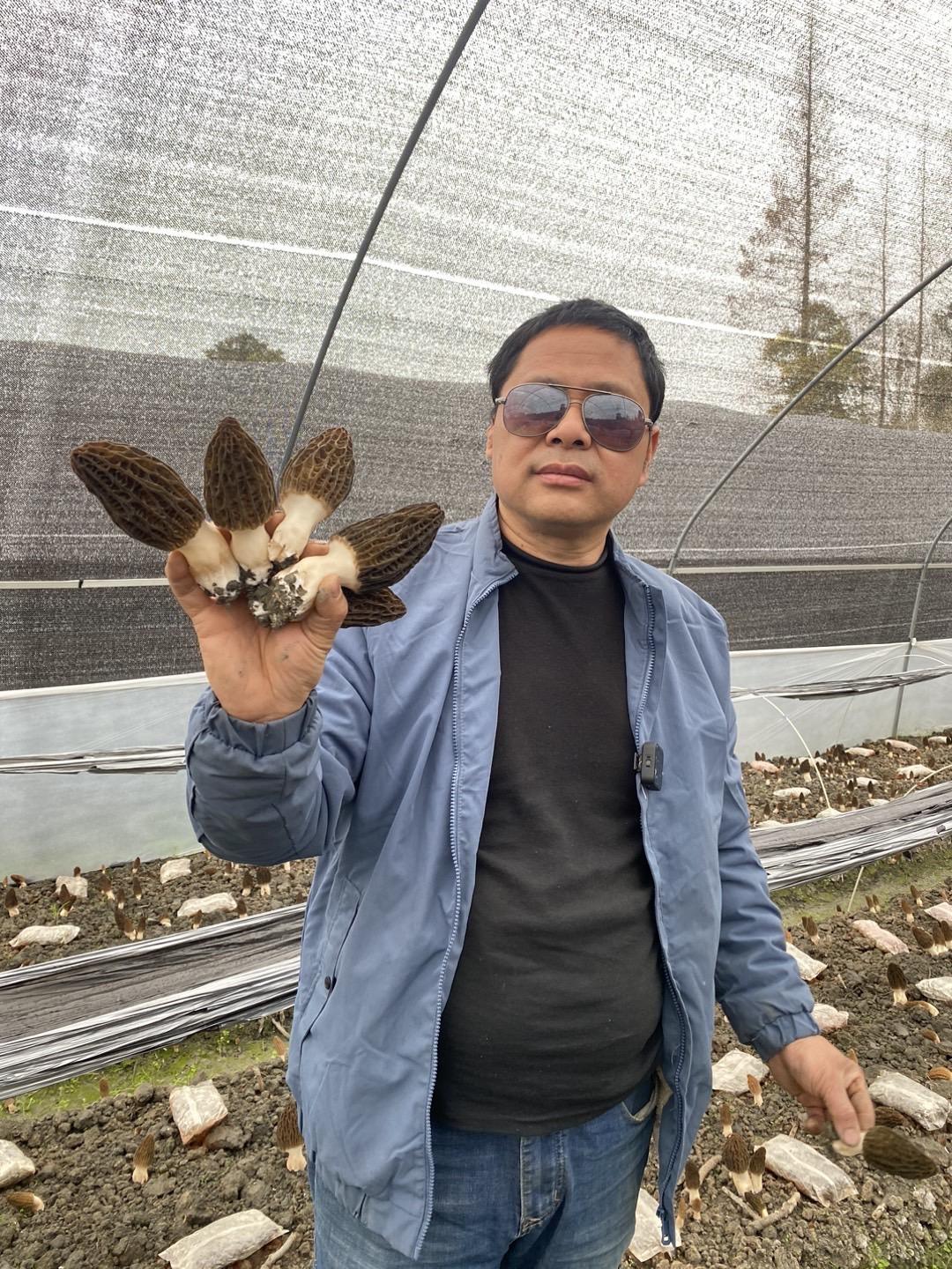 我是71年的猪，喜欢清静，不喜欢城里的喧嚣，农场小院就是我的家！食用菌产业 农业