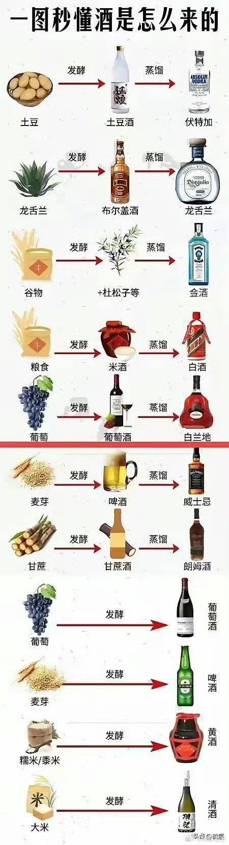 酒原来是这么来的。。。。。 ​​​