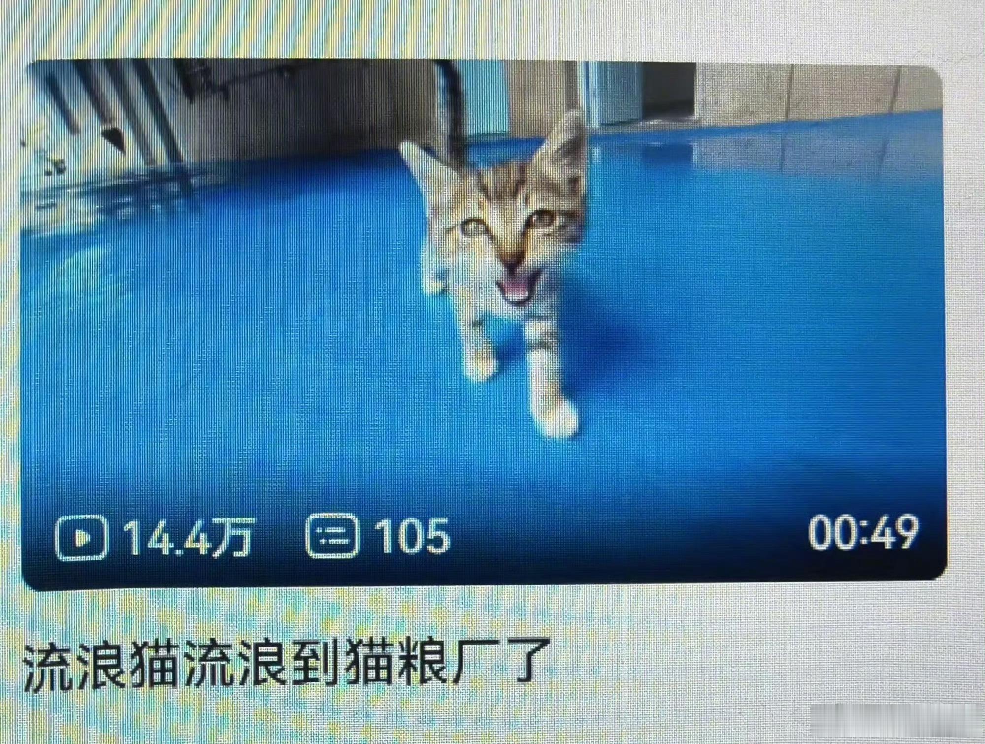 我从北京到西安就这个心情，这里为啥这么多便宜好吃的东西，我好喜欢成山农场