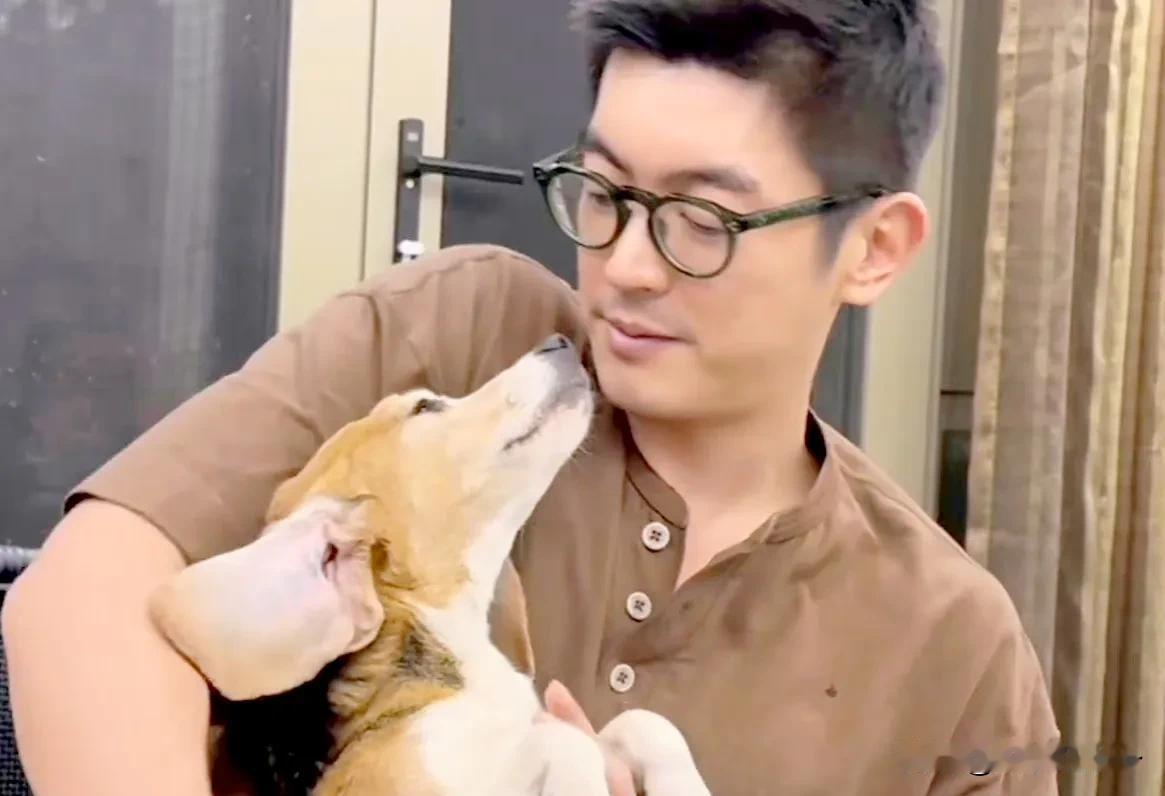 杜江霍思燕夫妇收养实验犬，取名：珍珠！

当霍思燕叫出其它狗狗的名字，我才知道啥