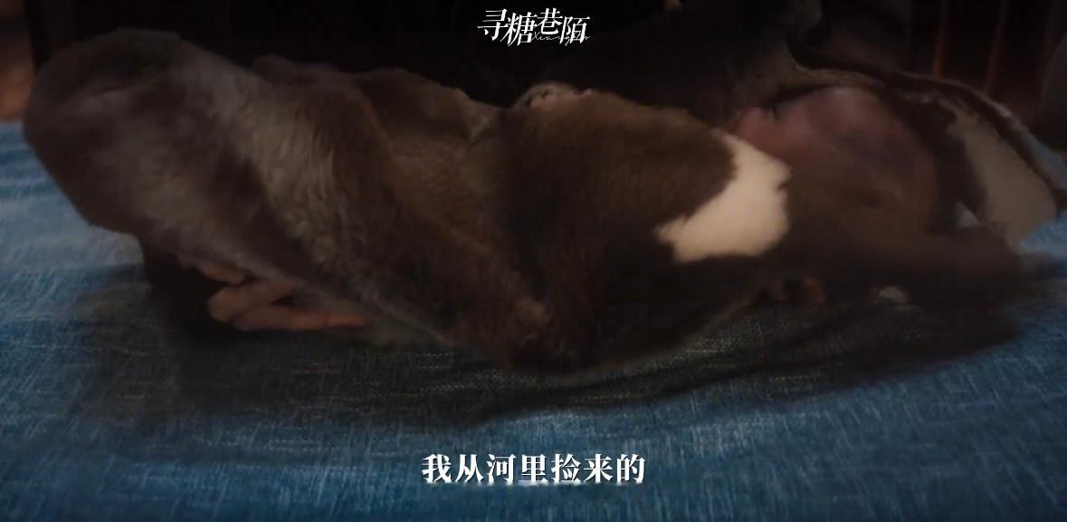 如果露芜衣雾妄言有两个女儿我们月鳞绮纪观众想看的，自己动手剪！尤其想看姐姐重逢小