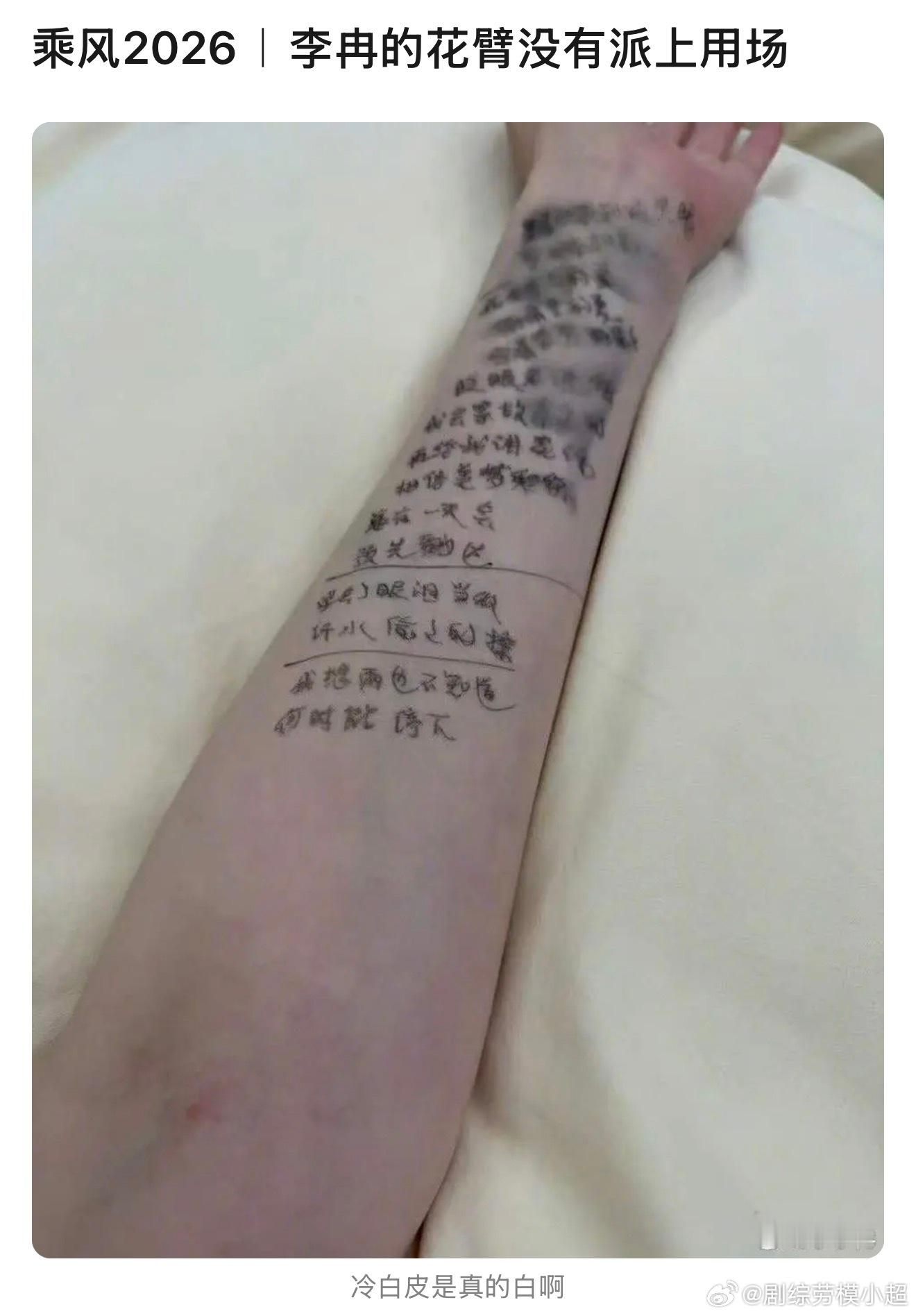 李冉的花臂没有派上用场的原因🈶 