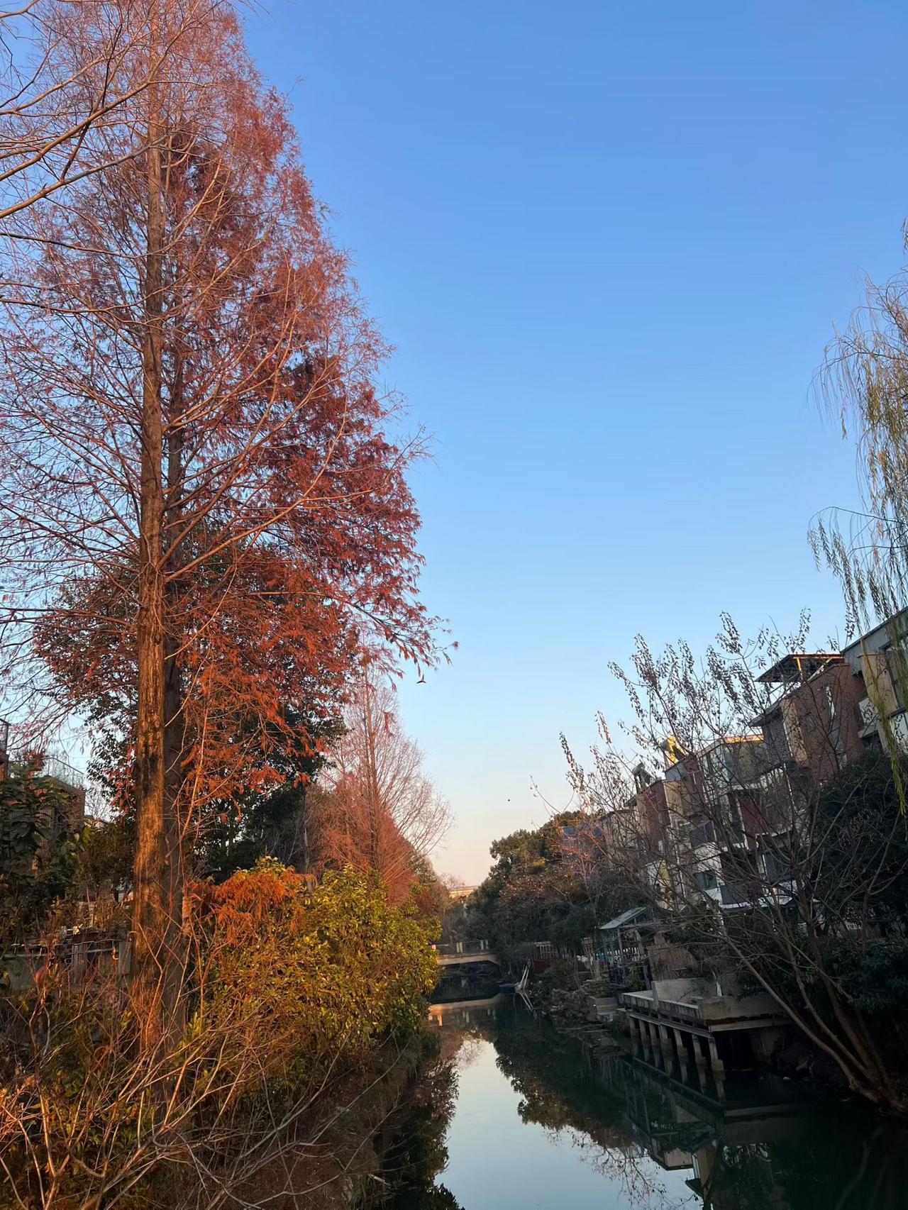 有人说“努力必定成功”你赞同吗?“努力必定成功”我不赞同。
努力的前提是要明确方