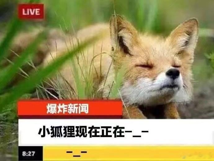 感受 体会 感悟 崇拜 迷恋 修狐狸 